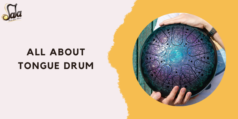 Steel tongue drum melodic percussion instrument explained with playing technique