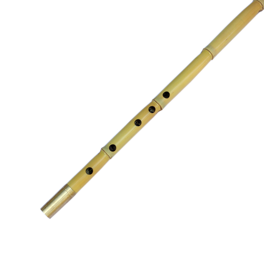 Mirzaei Persian ney PNM-4 handmade in Iran