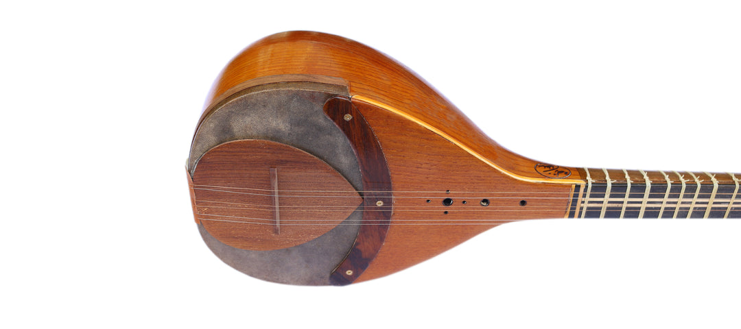 Shourangiz setar ZSH-4 by Sala 6-string Persian instrument with mulberry body