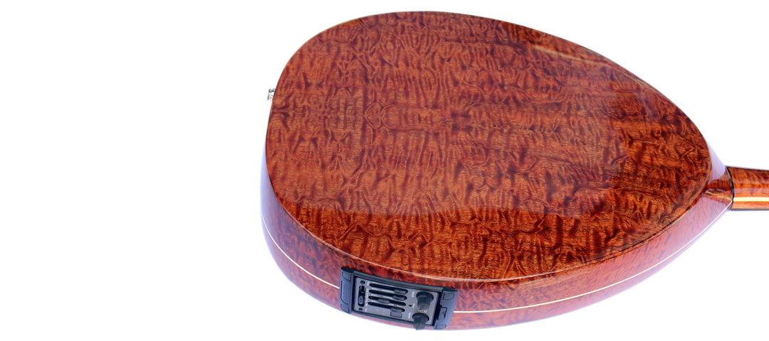 عود الکتریک ترکی UNQ-20E از Miras Lute