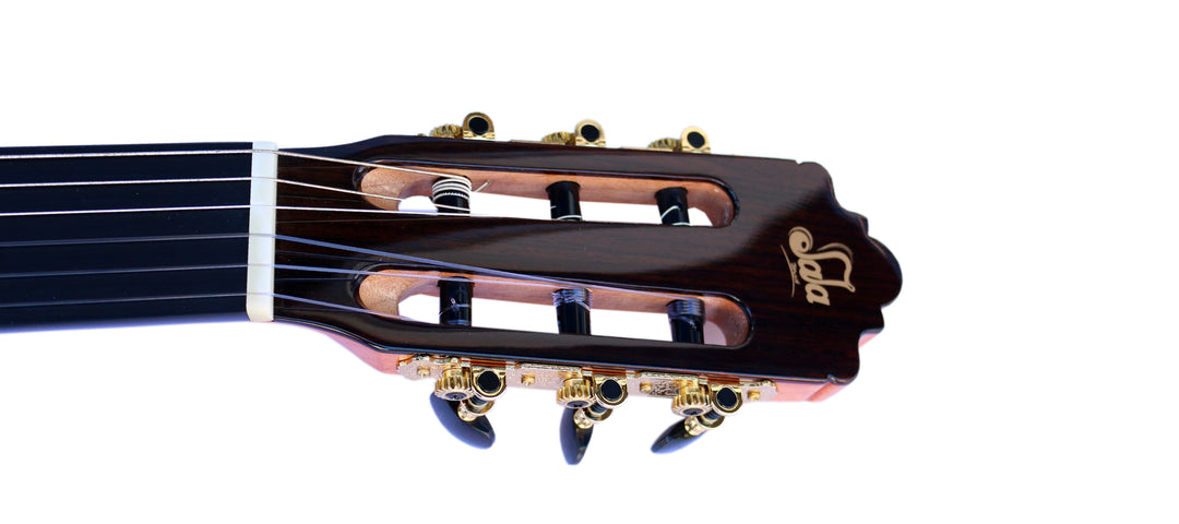 Sala Professional Fretless Electric Classical Guitar With Equalizer CP-5