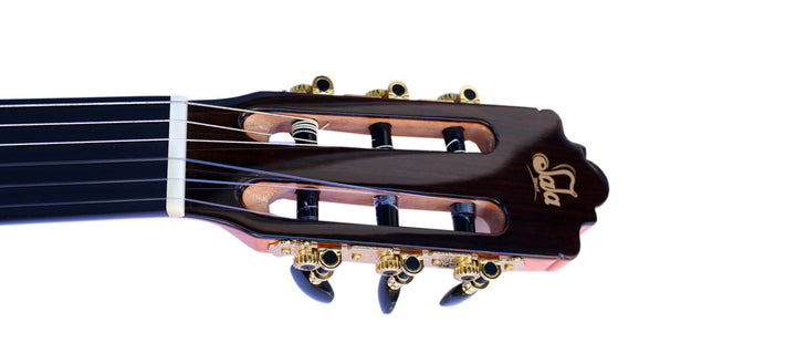 Sala Professional Fretless Electric Classical Guitar With Equalizer CP-5