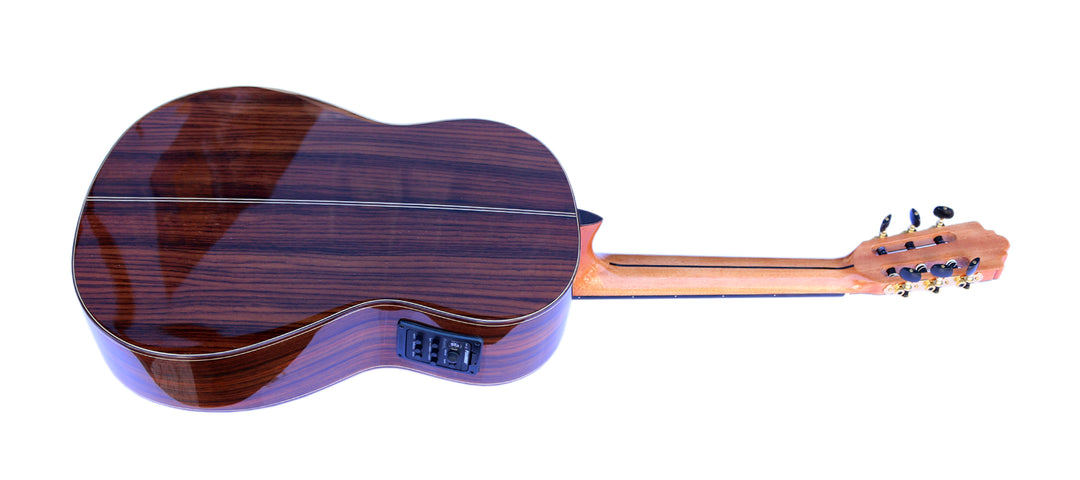 Sala Professional Fretless Electric Classical Guitar With Equalizer CP-5