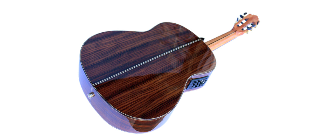 Sala Professional Fretless Electric Classical Guitar With Equalizer CP-5
