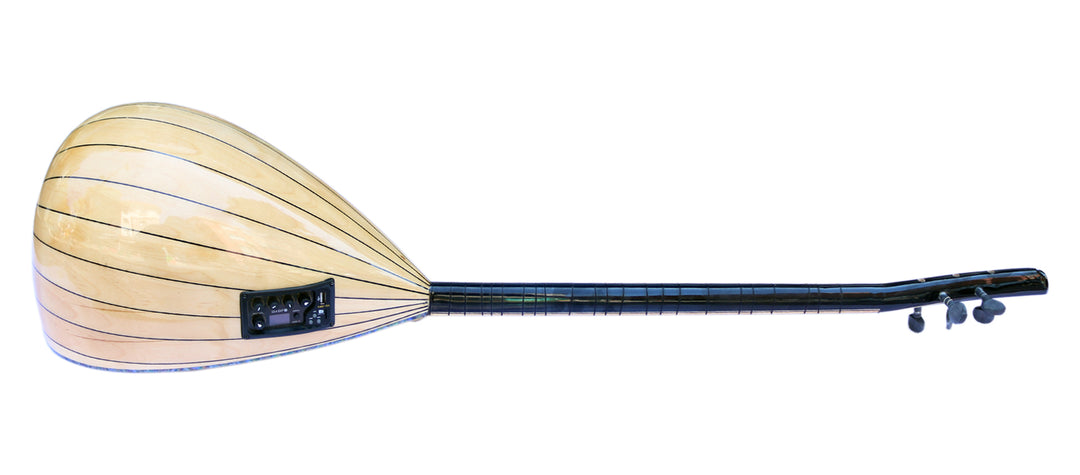 Dest RT1 elektro bağlama saz ritim sistemi ile