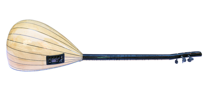 Dest RT1 elektro bağlama saz ritim sistemi ile