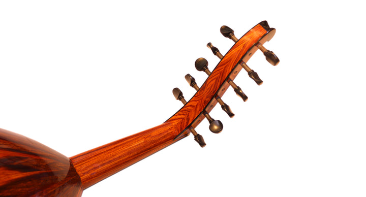 Oud arabe Cocobolo Majesty de Miras Lute