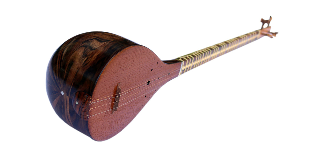 Setar ProSetar-27 by Nadali handcrafted Persian classical lute