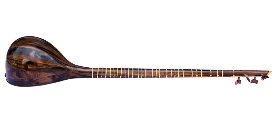 Nadali setar ProSetar-27 stringed Persian instrument with walnut neck