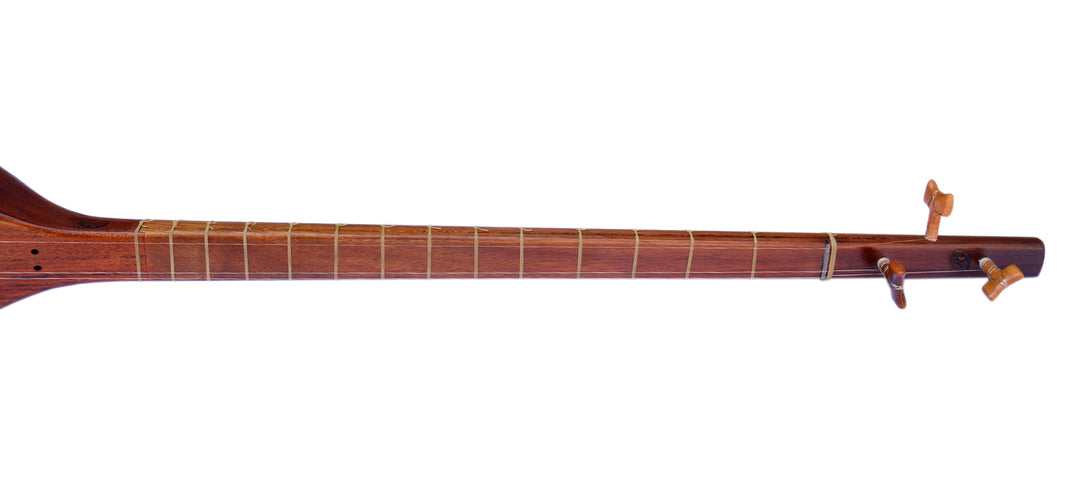 Electric-acoustic Persian tanboor ETM-4 with built-in equalizer and onboard pickup