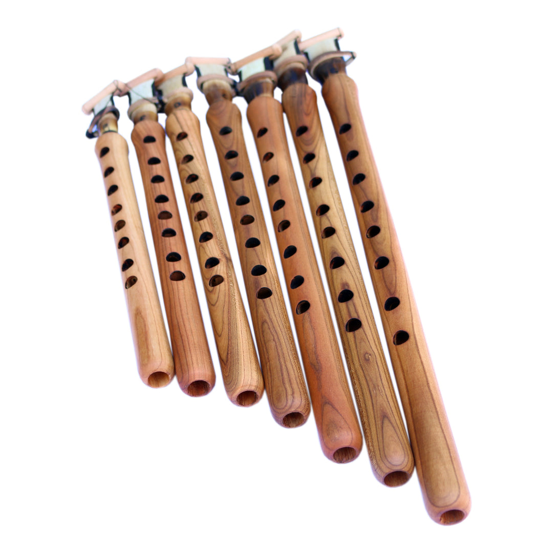 Premium 7 note Armenian duduk set APD-7 with apricot wood by Ali Riza Acar