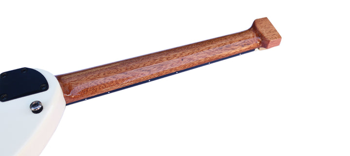 Sala Muzik E-Oud RaksOud