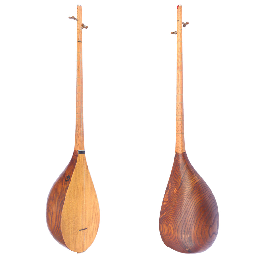 Professional carved mulberry Khorasan dotar MOD-4 two-string Persian folk lute
