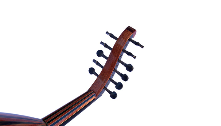 عود ترکی گردو AO-109 سالا کیفیت آکوستیک