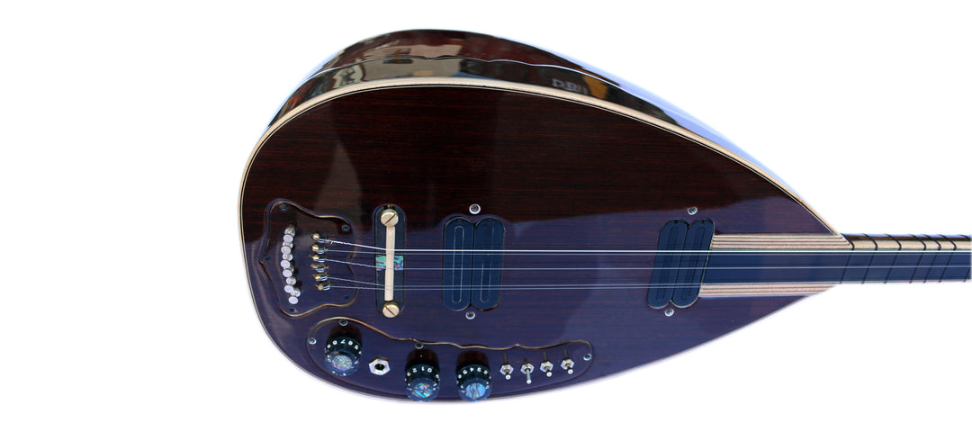 Sala E-Baglama SES-12 für Bühnenauftritte