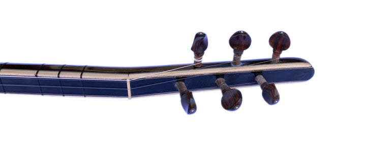 Sala E-Baglama SES-12