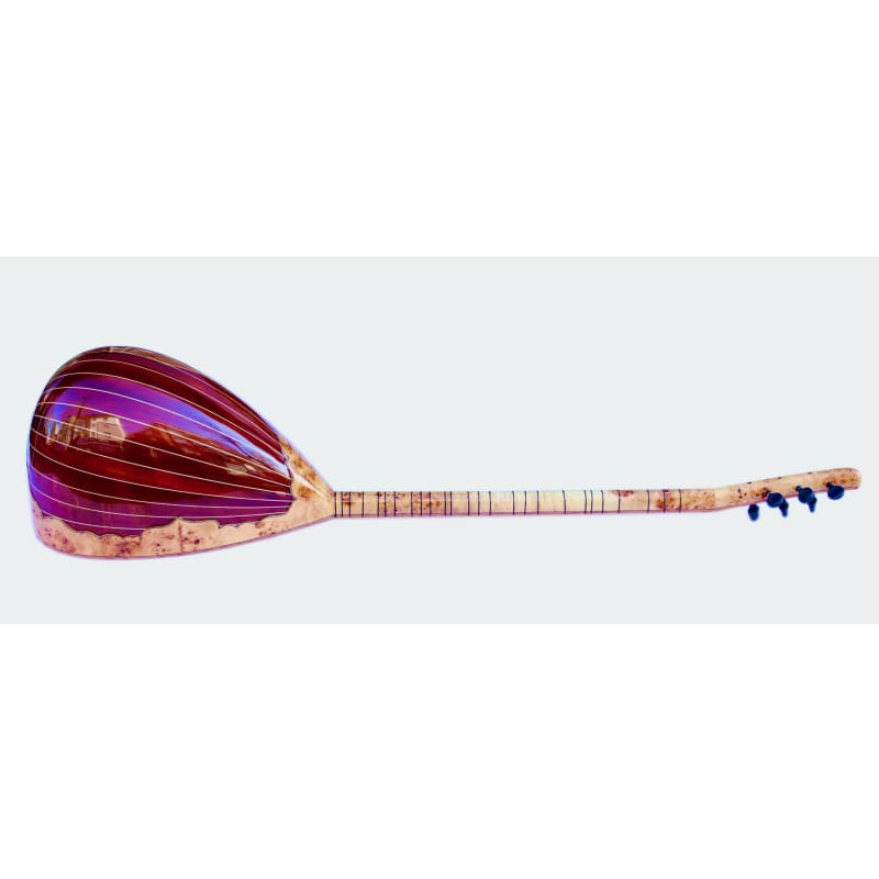 Sala ساز الکتریک سفارشی دست‌ساز SES-5