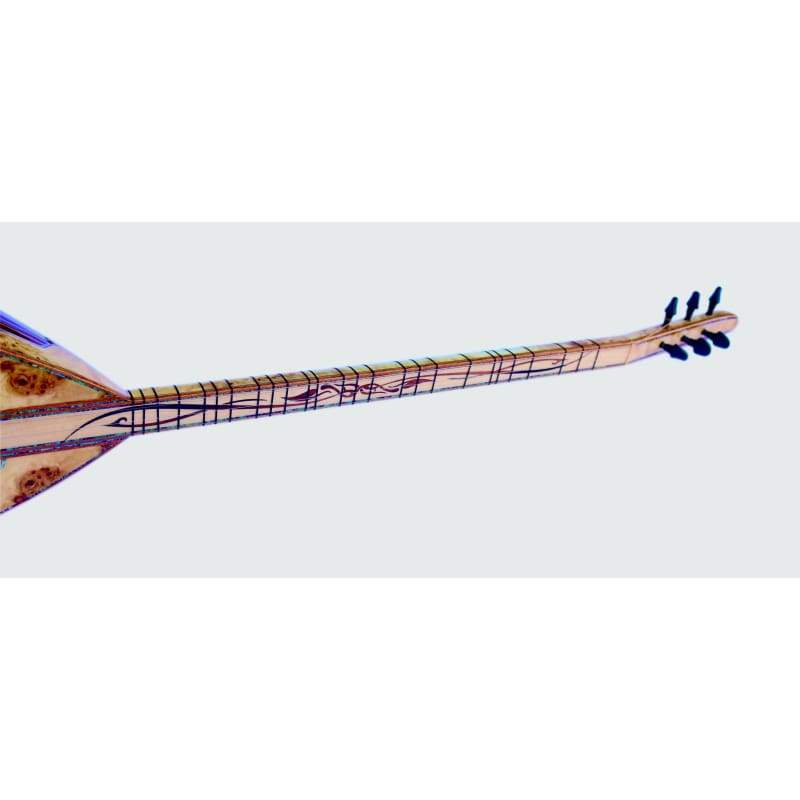Sala باغلامای الکتریک سفارشی SES-5