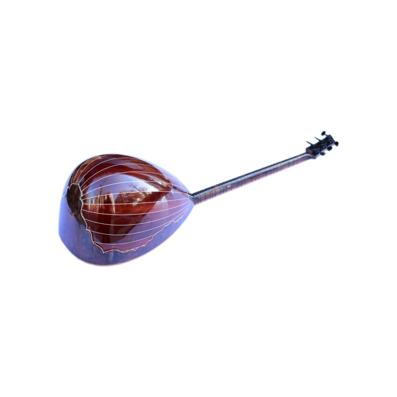 Sala ساز الکتریک سفارشی SES-4 برای اجرای صحنه