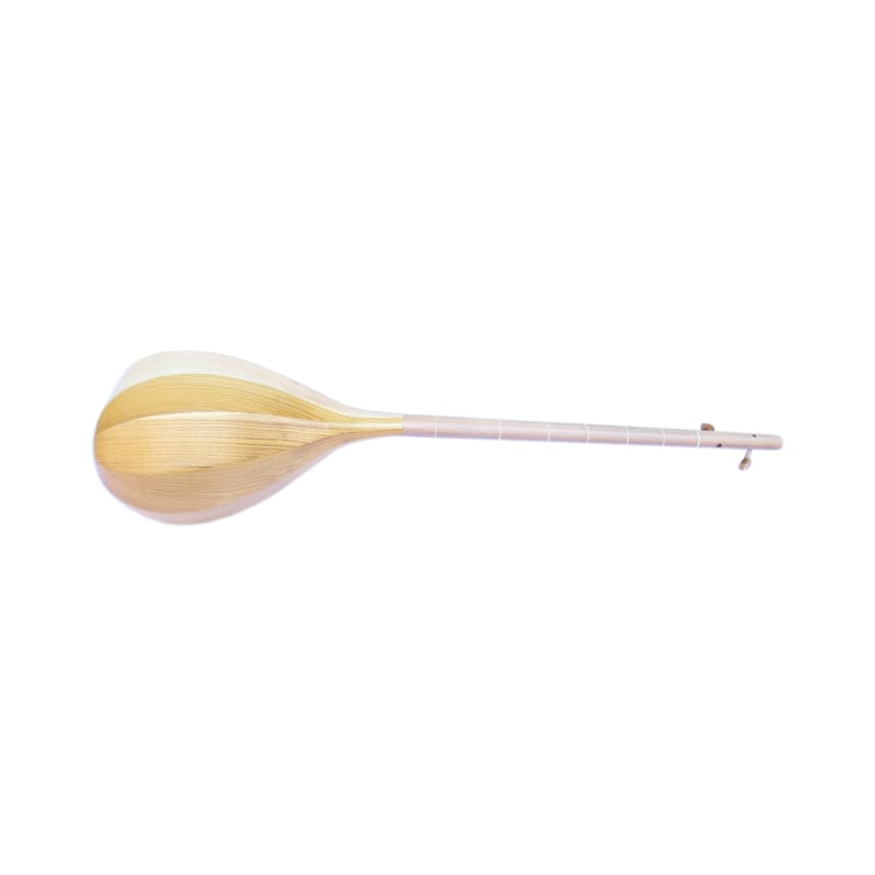 Nava Persian dotar ND-203 traditional long-neck stringed instrument