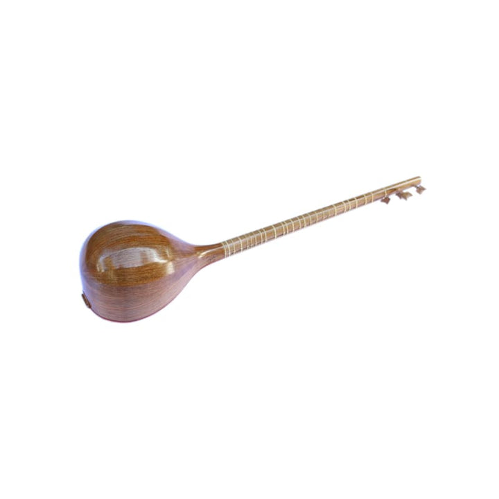 Nazari setar NZS-205 stringed Persian instrument mulberry soundboard
