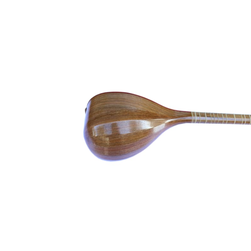 Nazari Persian setar NZS-205 long-neck lute carved details