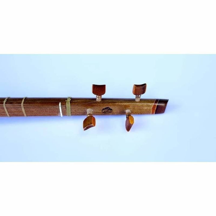 Zolghadr setar ZS-302 4-string handmade Persian instrument