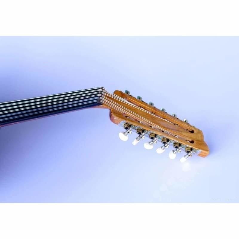 Mahogany Arabic electric oud AAOK-301G by Sala