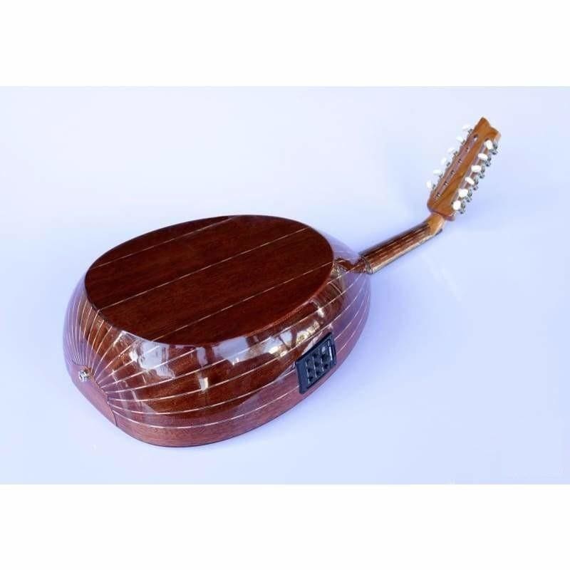 Mahogany Arabic electric oud AAOK-301G by Sala