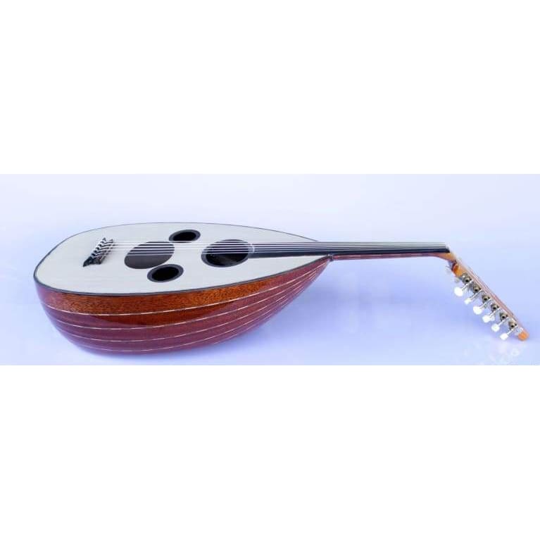 عود عربی الکتریک حرفه‌ای AAOK-301G با کاسه ماهاگونی و صفحه صنوبر