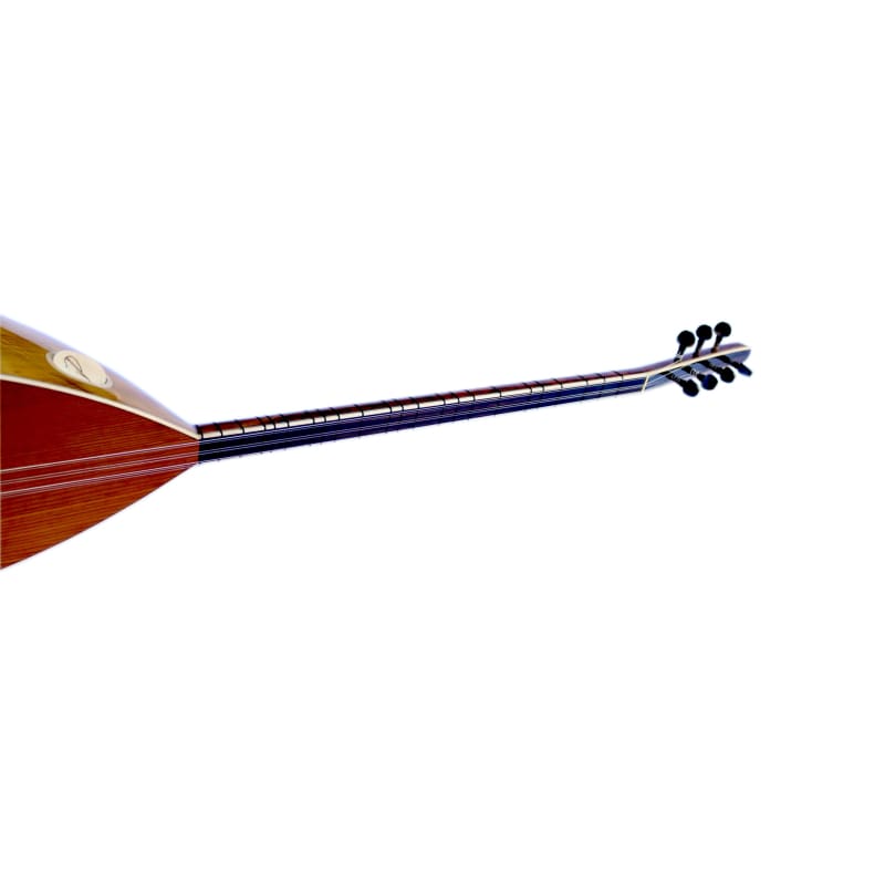 Sala profesyonel kalite uzun sap oyma dut bağlama DST-307