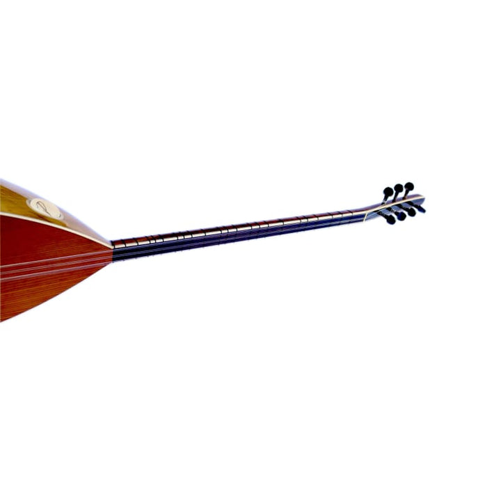 Sala profesyonel kalite uzun sap oyma dut bağlama DST-307