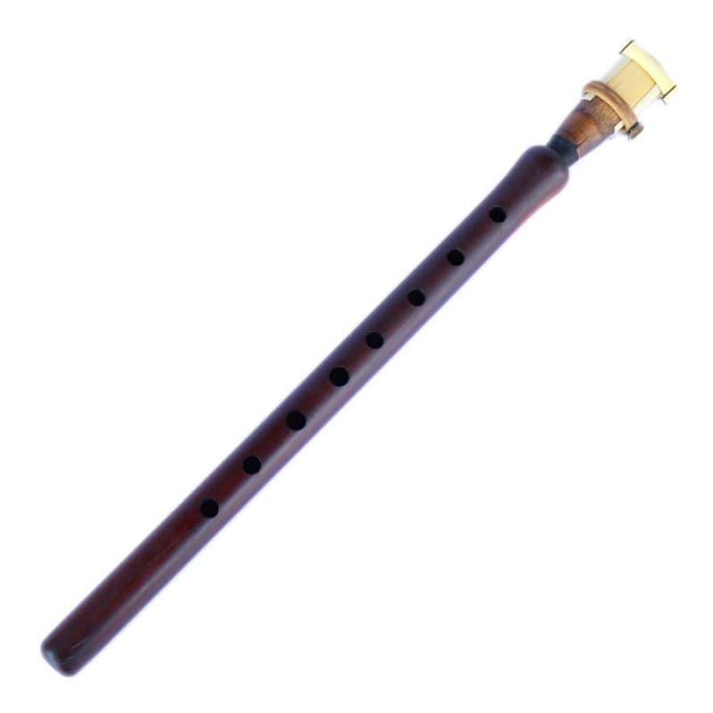 Ali Riza Acar professional Armenian duduk AAD-404 with apricot wood body