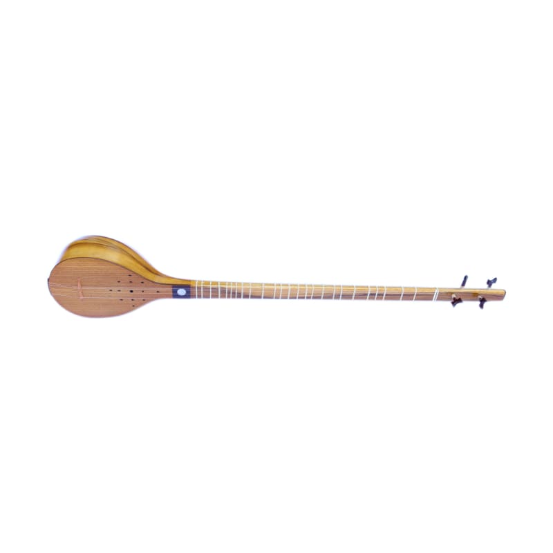 Keykhahi professional setar KS-404 Persian long-neck lute