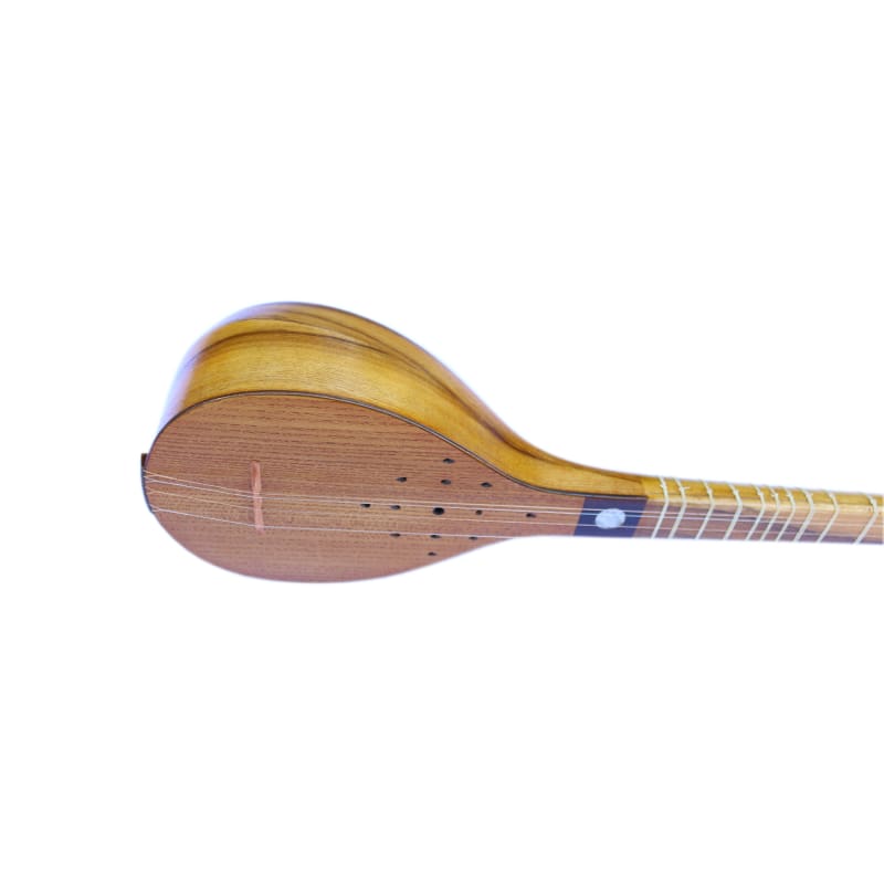 Persian setar KS-404 by Keykhahi with mulberry body and walnut neck