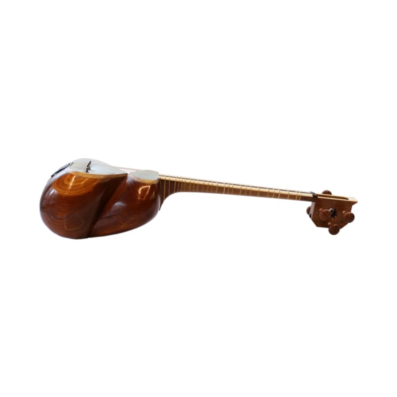 Aliyari professional tar ABT-404 Persian double-bowl lute
