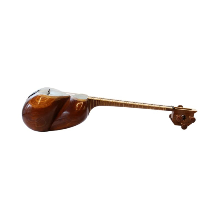 Aliyari professional tar ABT-404 Persian double-bowl lute