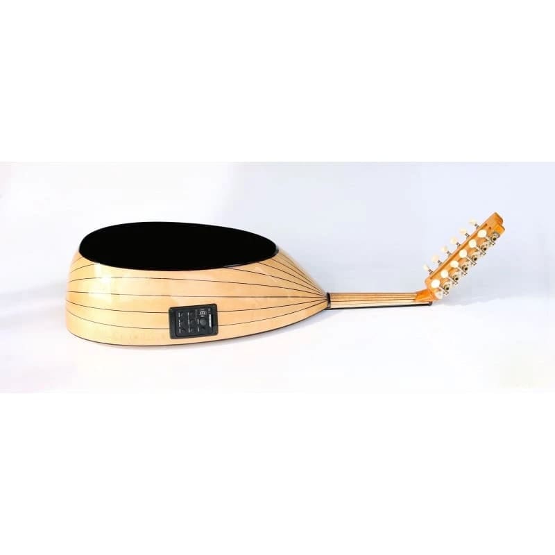عود ترکی الکتریک AOK-206G افرا ساخت Sala