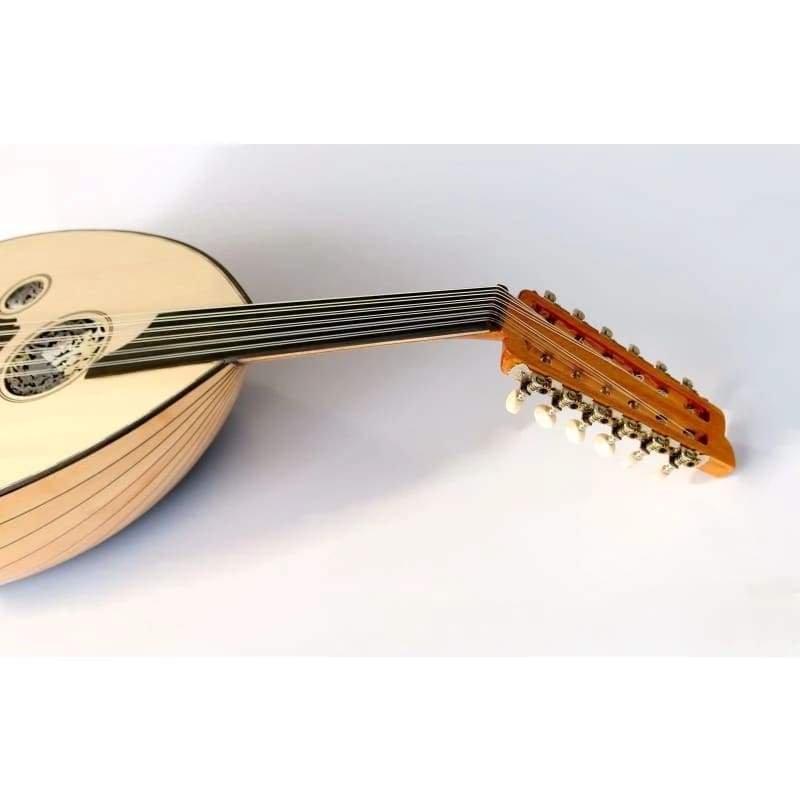 عود ترکی الکتریک AOK-206G افرا ساخت Sala