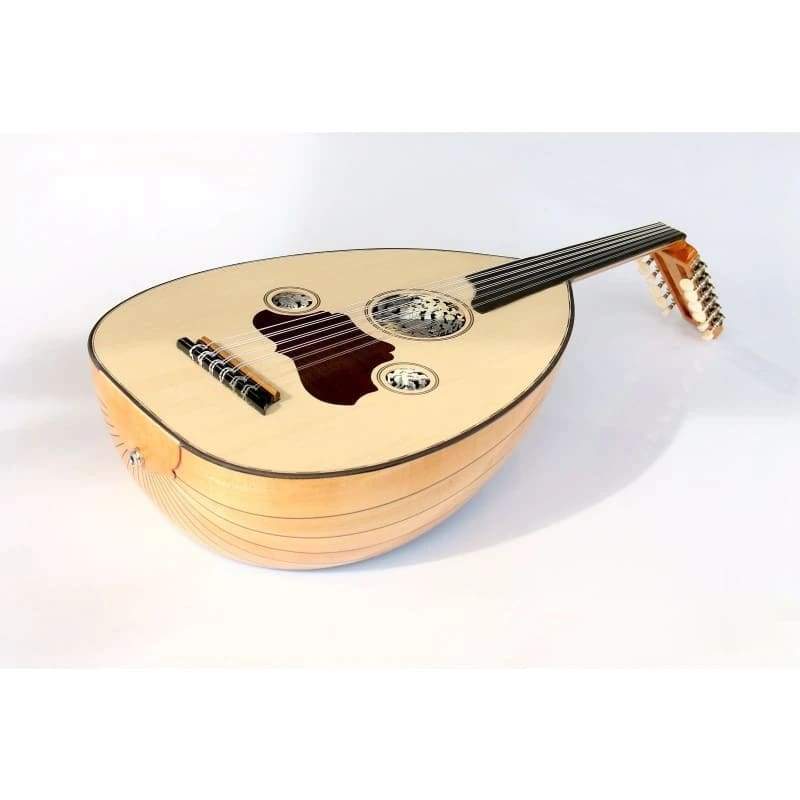 عود ترکی الکتریک Sala AOK-206G افرا