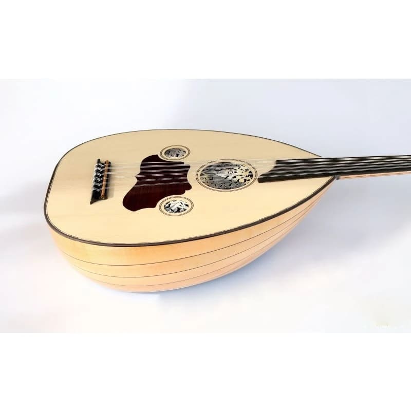 عود ترکی الکتریک حرفه‌ای AOK-206G ساخت Sala Muzik