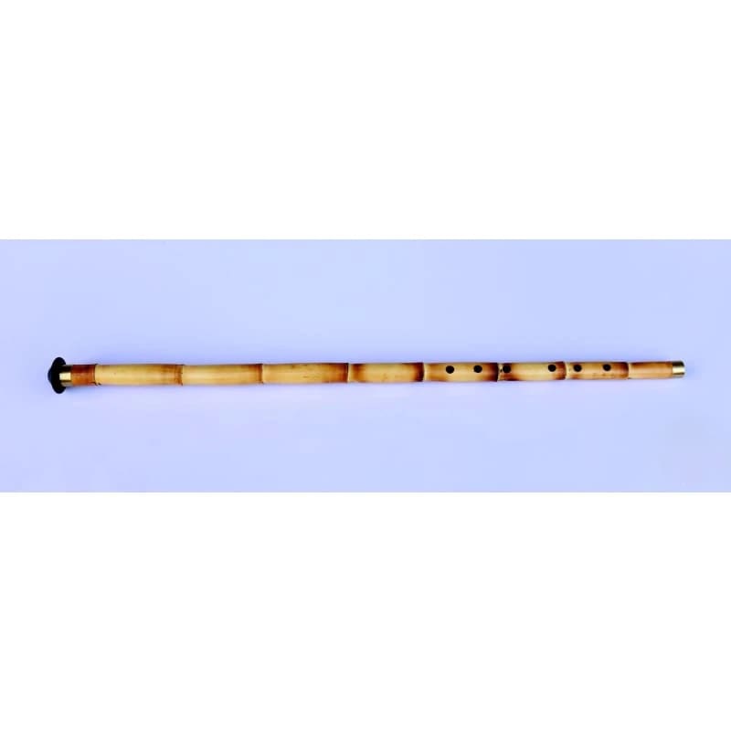 نی ترکی Sala HNP-304 با باسپاره و بدنه نی