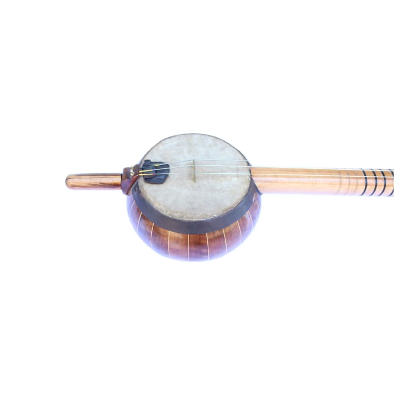 Rebab turco professionale BRP-404