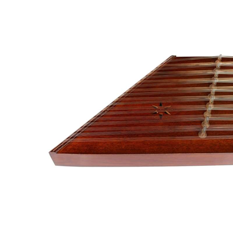 سنتور Ekberi NAS-202 با کیف سخت سفری