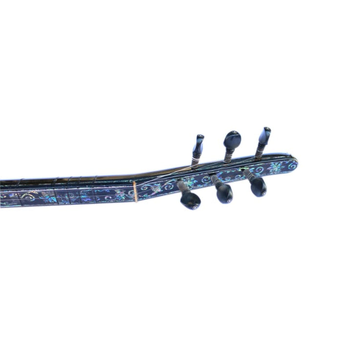 Spezielle türkische E-Baglama SES-1 von Sala Muzik