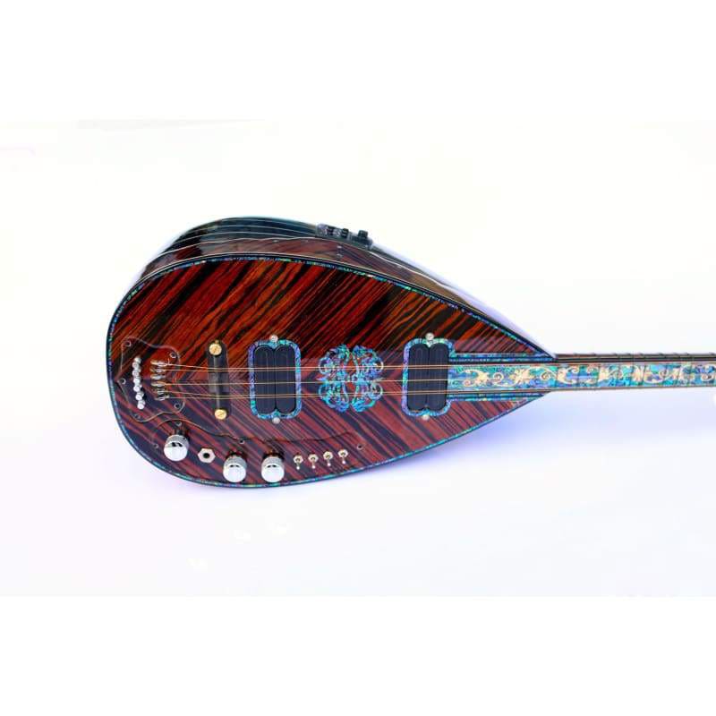 باغلامای الکتریکی ویژه SES-208B از Sala Muzik