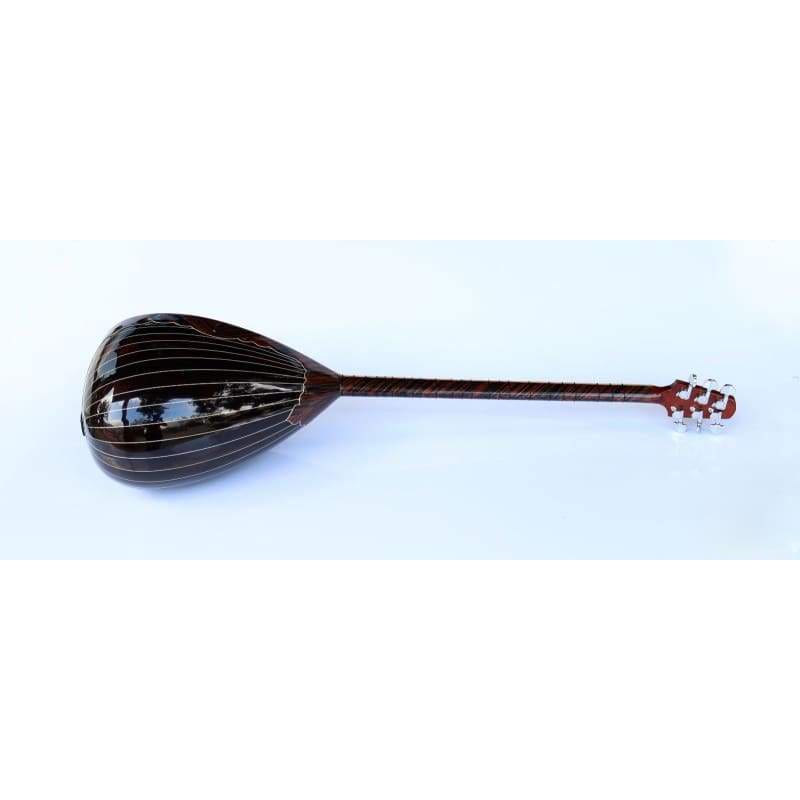ساز الکتریکی بلند گردن ویژه SES-408G از Sala