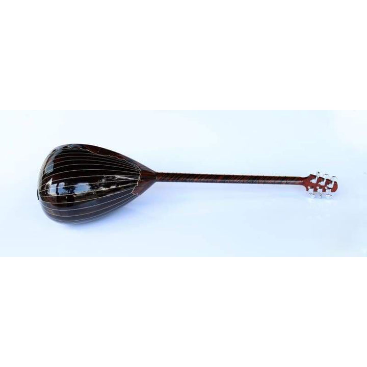 ساز الکتریکی بلند گردن ویژه SES-408G از Sala