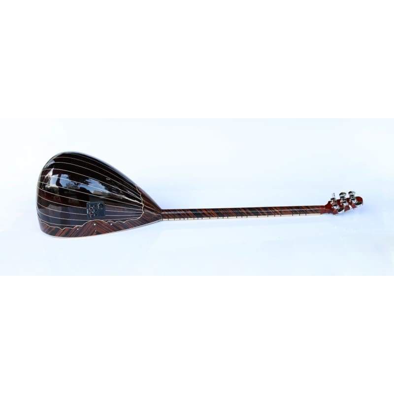 ساز الکتریکی بلند گردن ویژه SES-408G از Sala