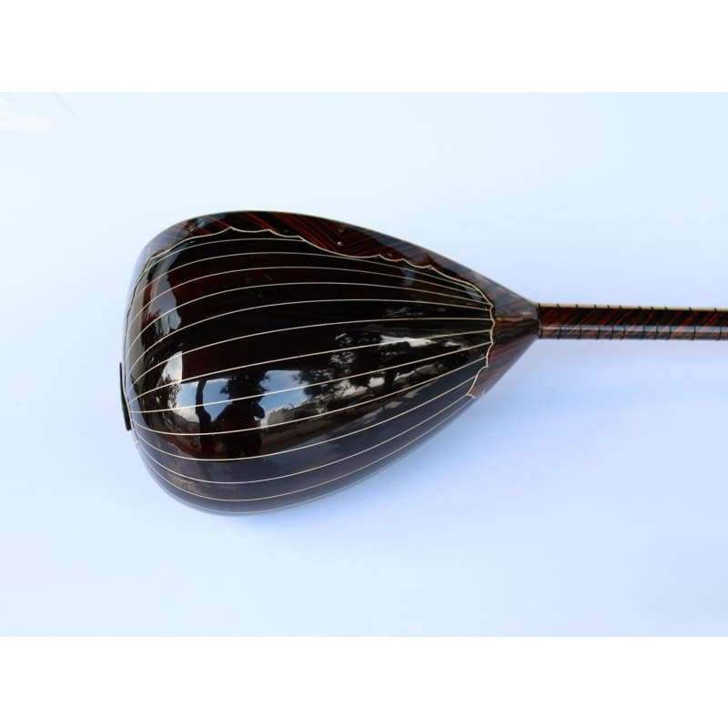 ساز الکتریکی بلند گردن ویژه SES-408G از Sala